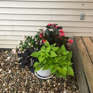 Meet your Posher, Summer